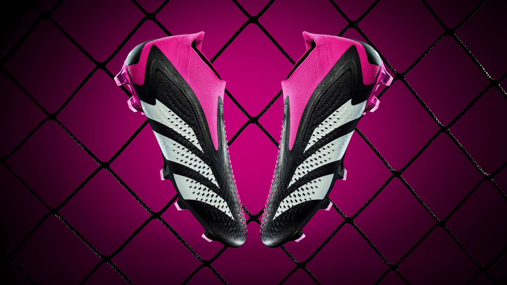 而是一名善 而是一名善